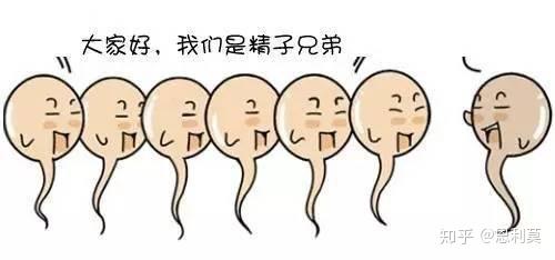 v2-2f6032ea844627b3087a48a8b0cd5cac_r.jpg