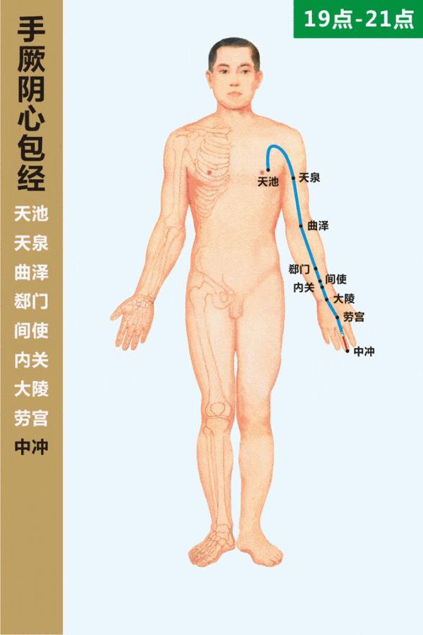 手厥阴心包经 知乎 手厥阴心包经 知乎