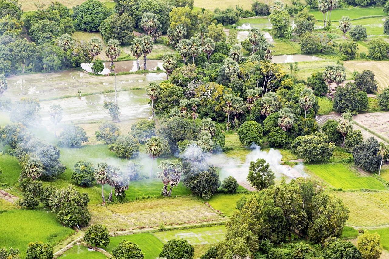 与自然的亲密接触