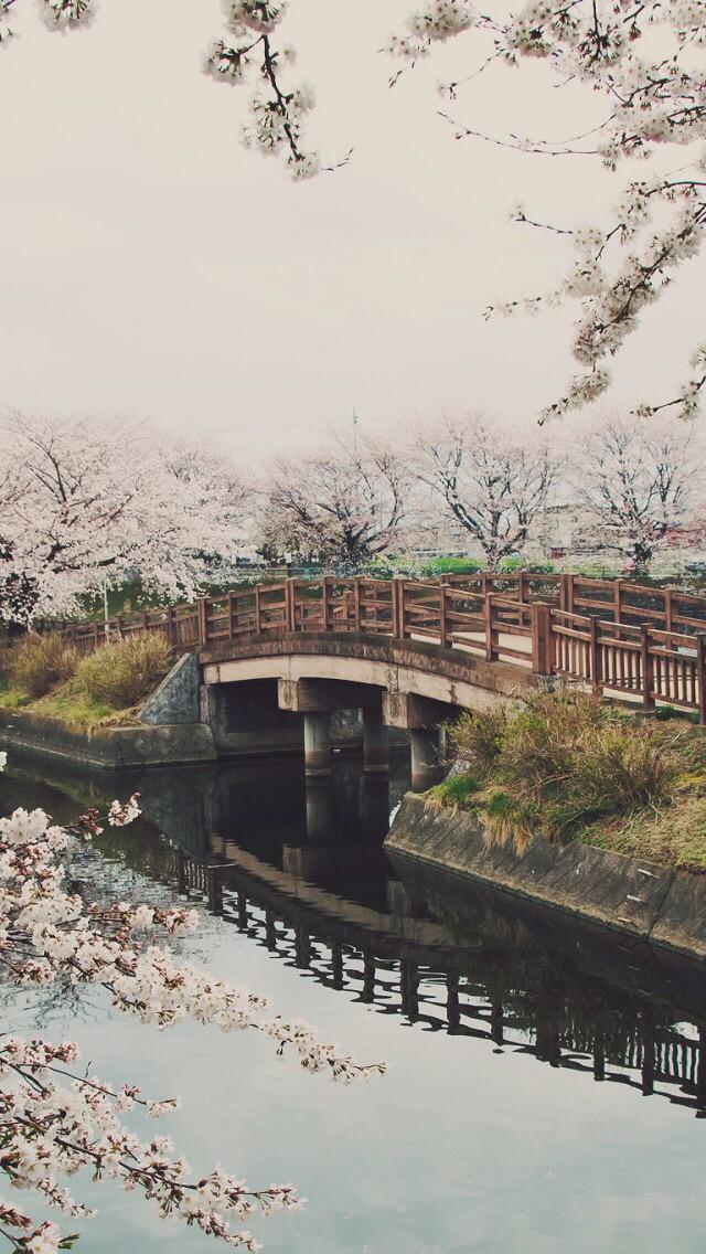 有哪些梦幻唯美意境深远开阔颜色淡雅以景为主的的壁纸或图片