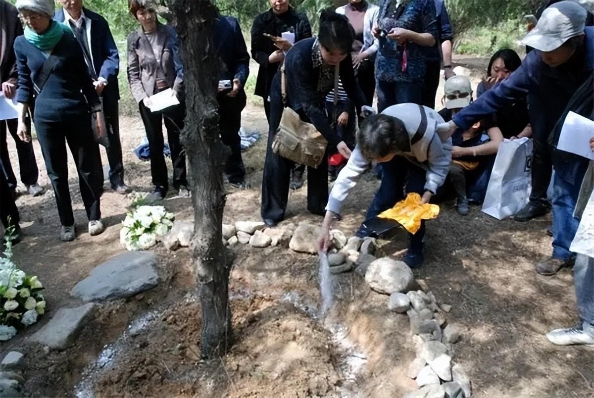 树葬正迅速兴起，取代火葬只是时间问题？网友：不用买墓地了 - 知乎