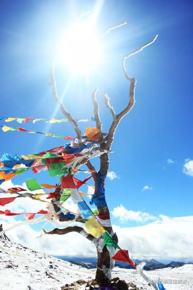 香格里拉10大必游景点“老司机”都去过,你走过几个?-香格里拉必看景点