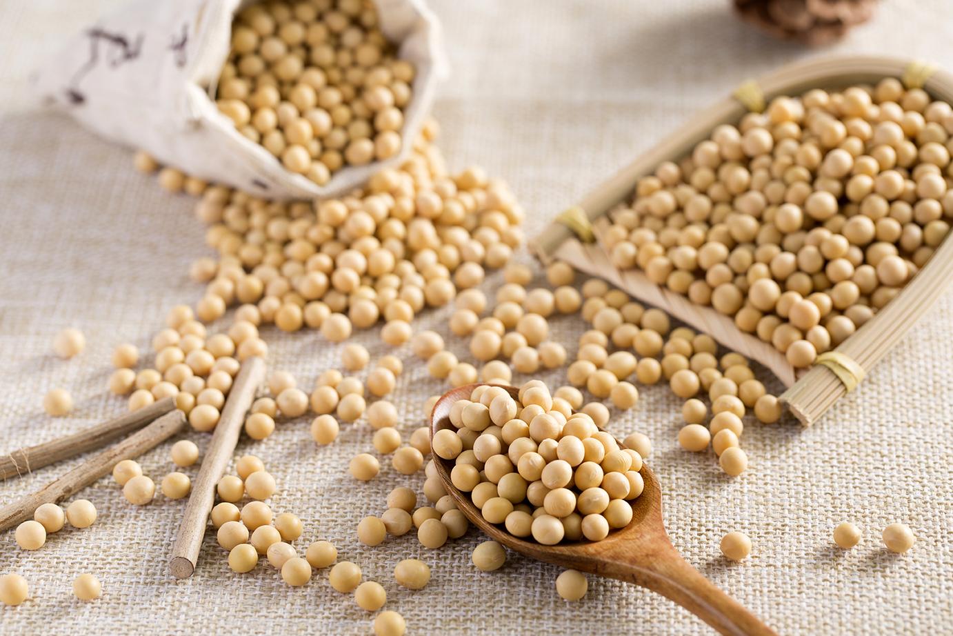 大豆的种植与分布你了解吗 知乎 大豆的种植与分布你了解吗 知乎