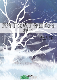图标