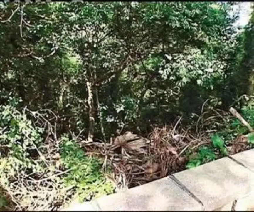 尸体被发现的地方
