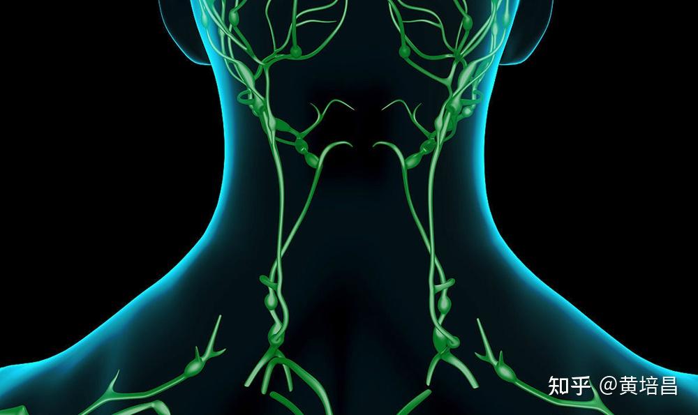 淋巴排毒按摩手法你知道多少