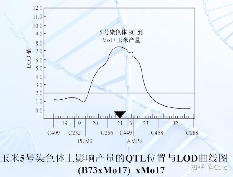遗传学_8 数量性状的遗传 - 知乎