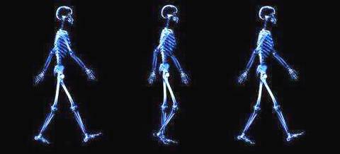 深度学习在步态识别中的应用 知乎