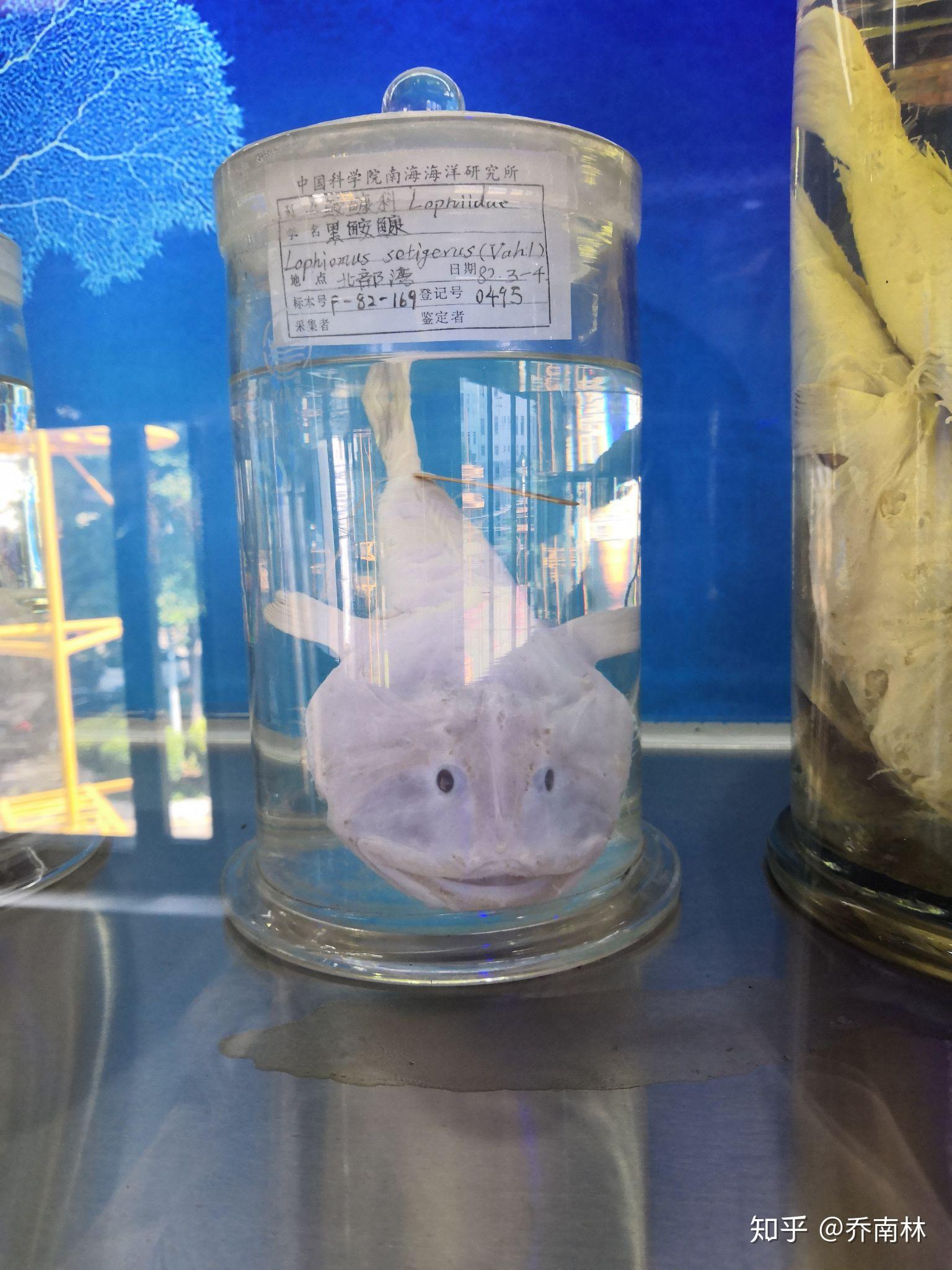 参与 2018 年中科院公众科学日的活动是怎样的