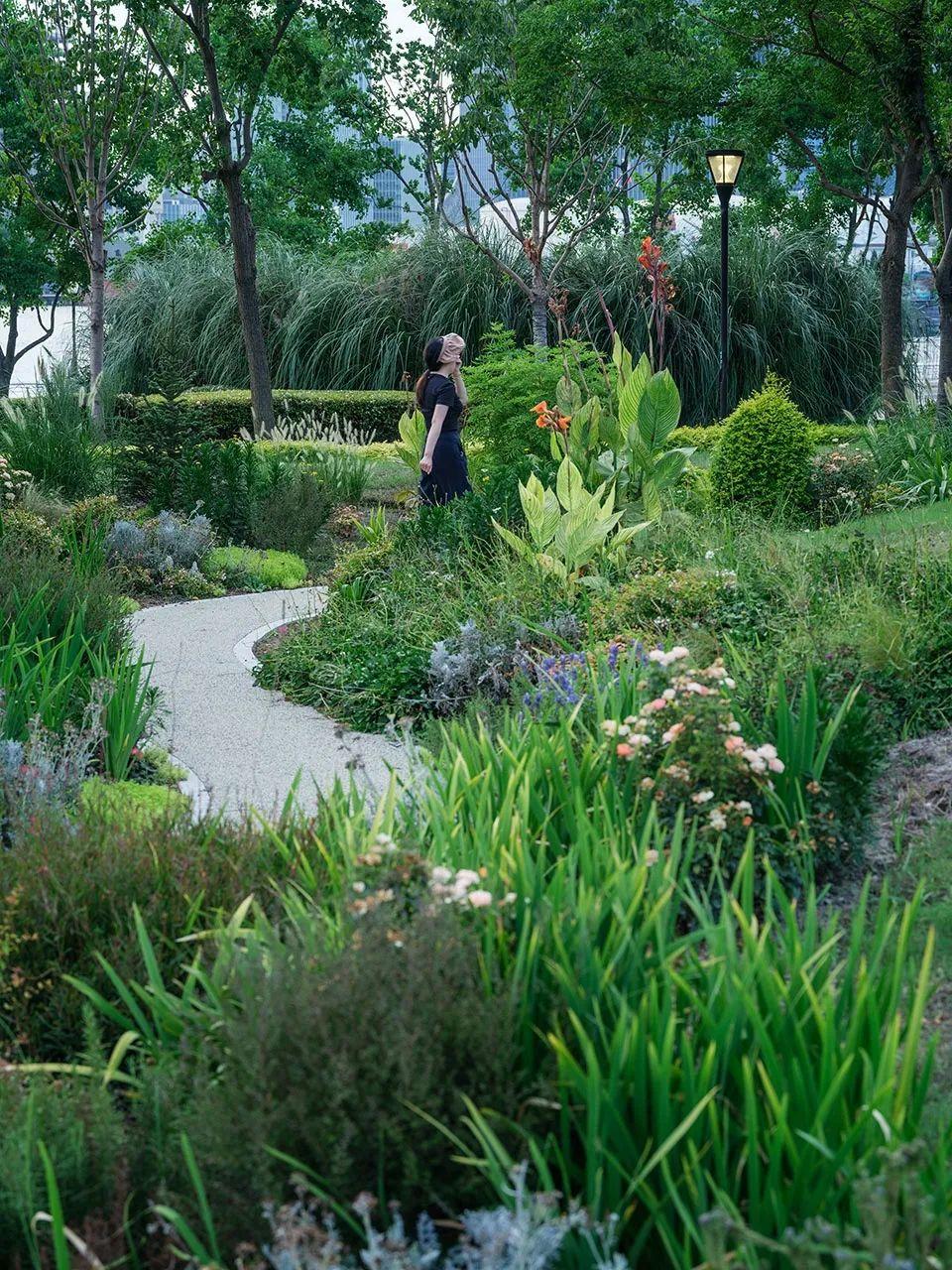 上海前滩休闲公园改造提升:打造"滩玩岛"生态亲子乐园