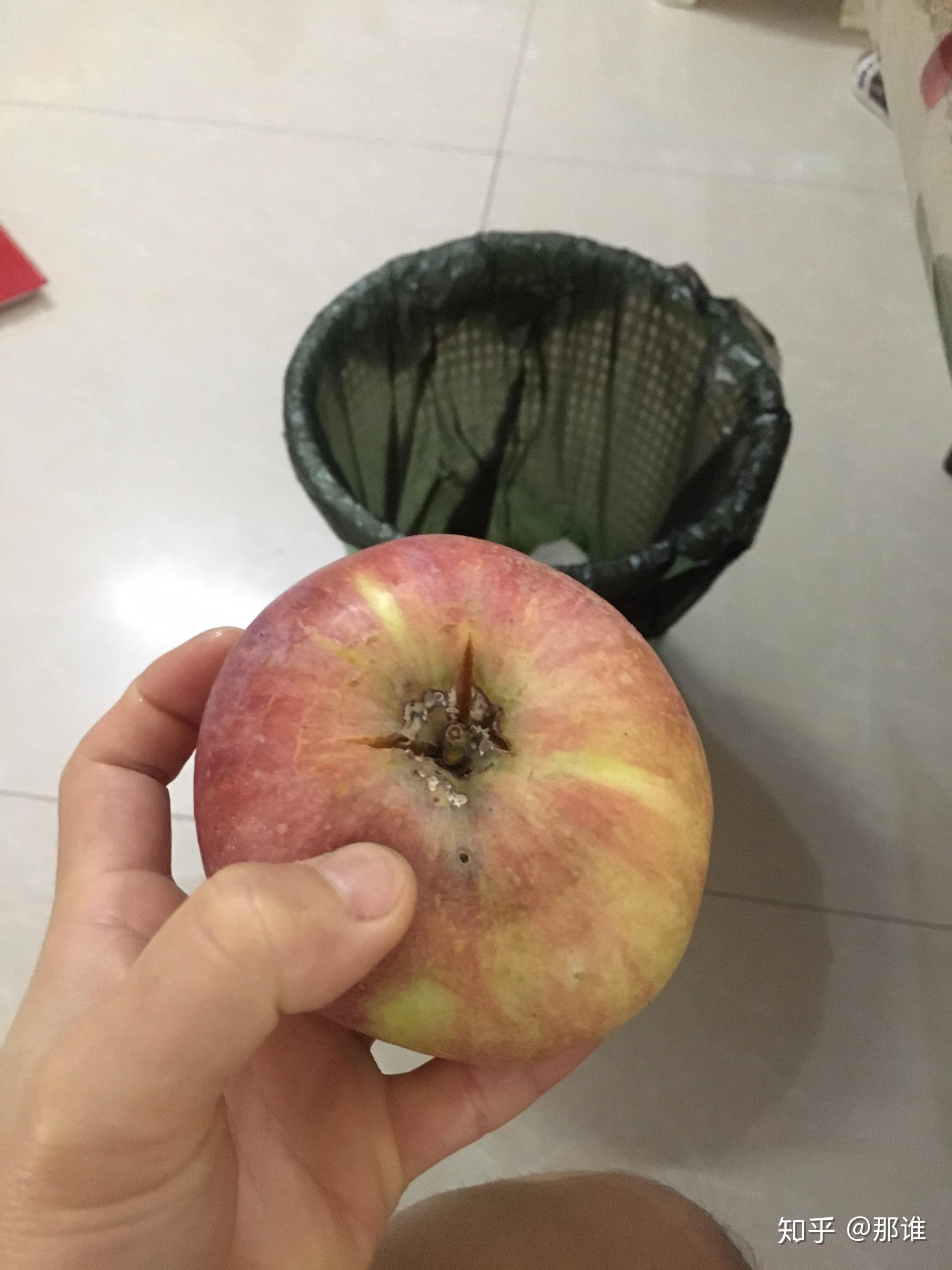 坏的苹果真实照片图片