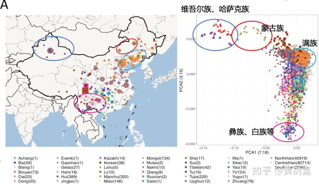 人口基因学_传承红色基因手抄报(3)