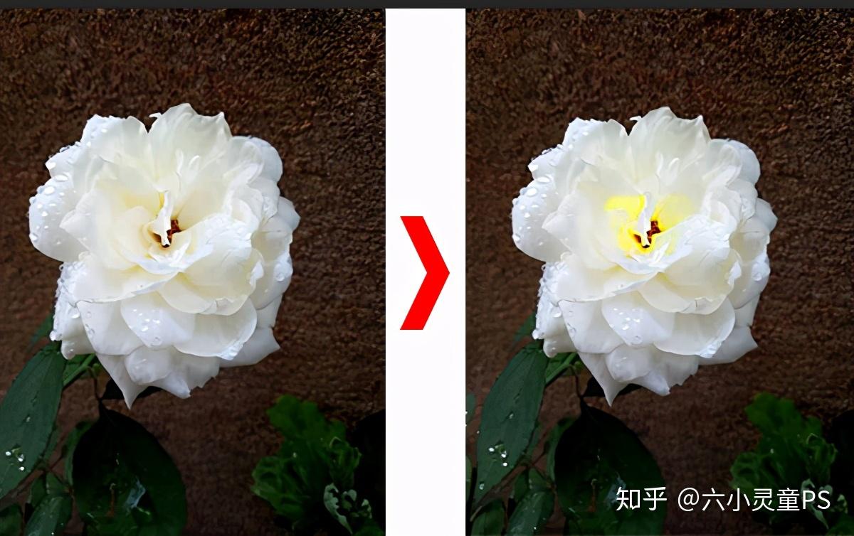 六小灵童ps小技巧局部调色技巧