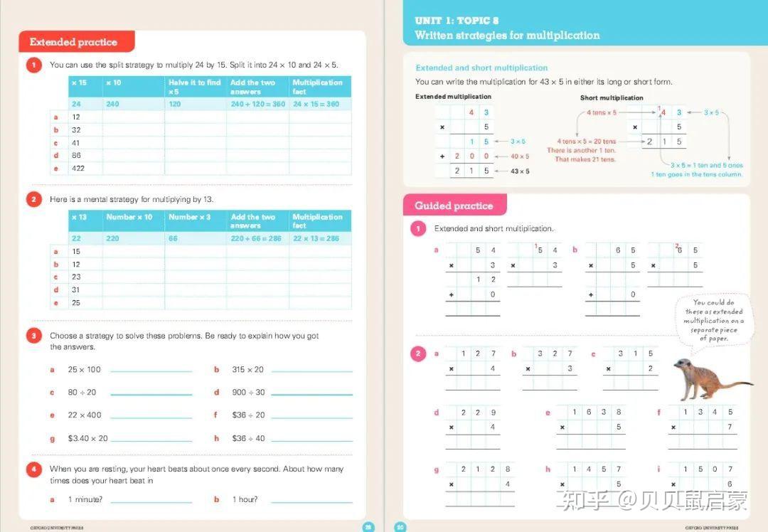 数学启蒙王牌！牛津IB体系Oxford Mathematics PYP 小学数学练习册 - 知乎