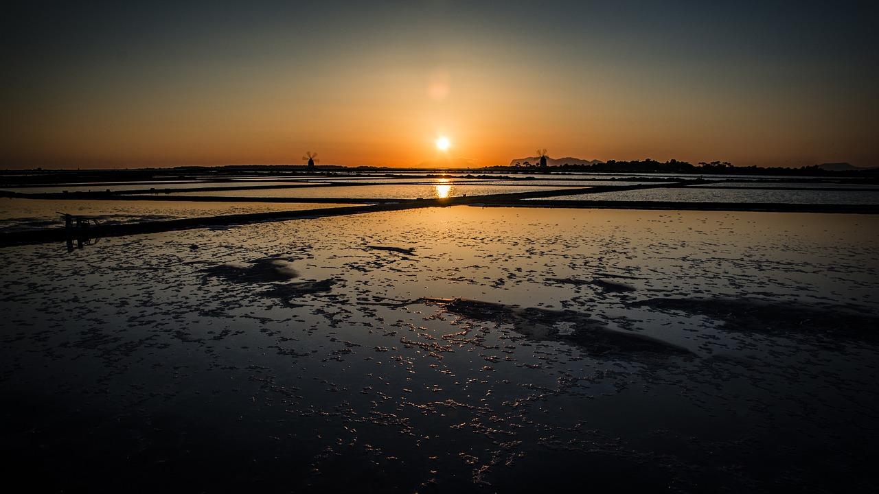 4. 促进头发生长