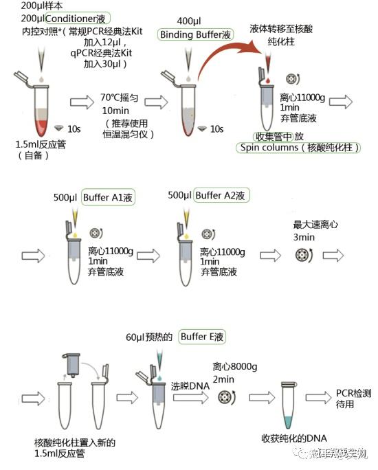  dna 