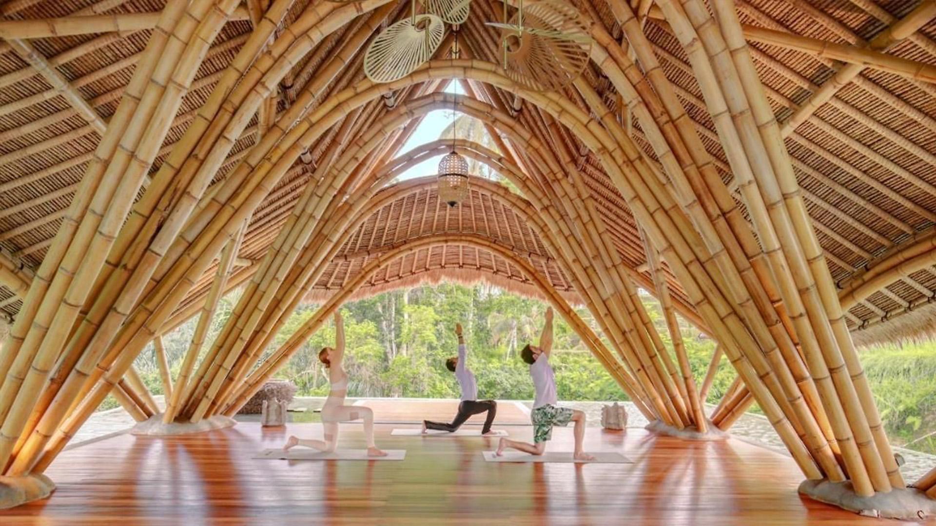 竹建筑中使用的竹子到底有多结实？比钢铁还坚固！ - 知乎