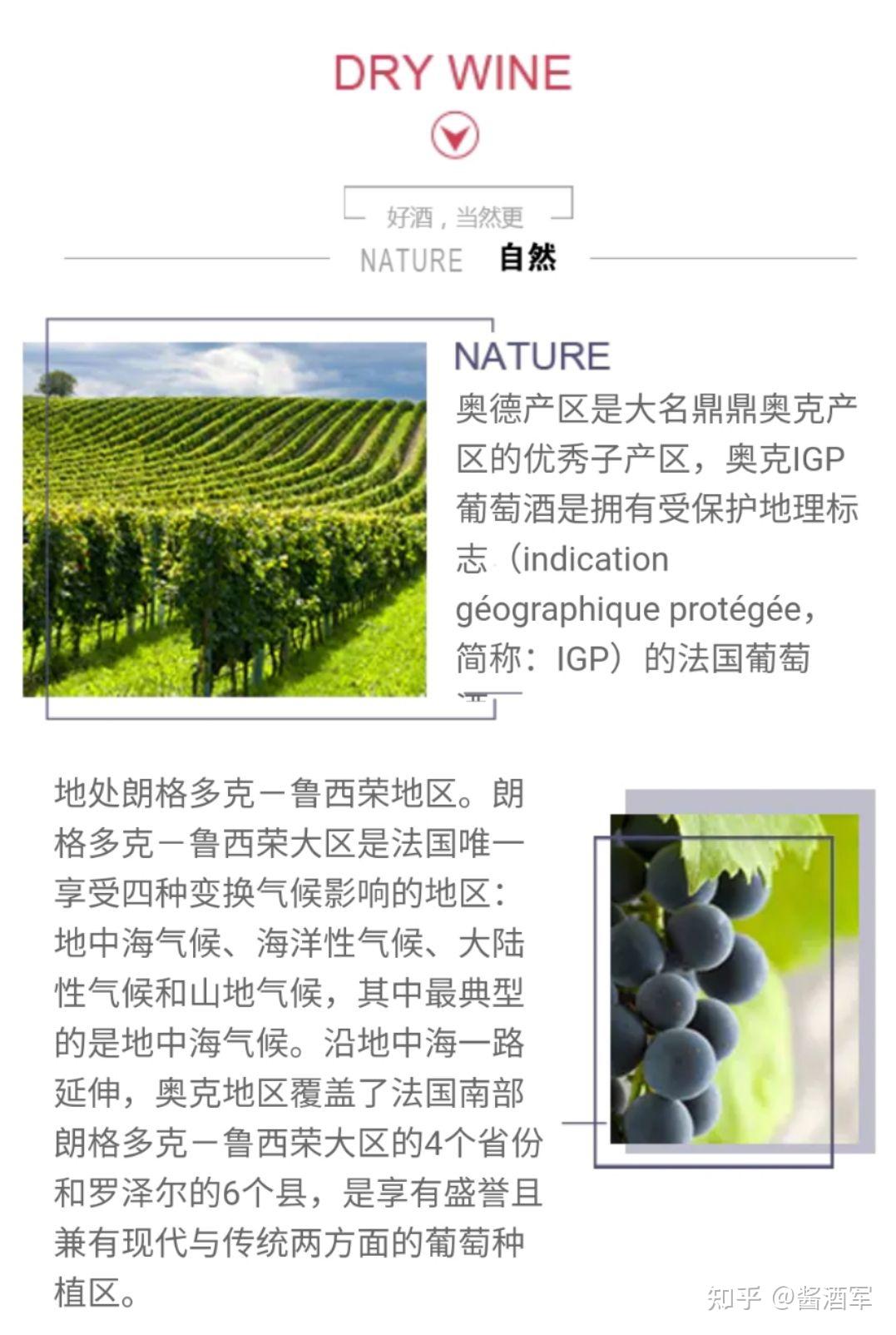 奥德飞马红葡萄酒馈赠佳品自留珍藏