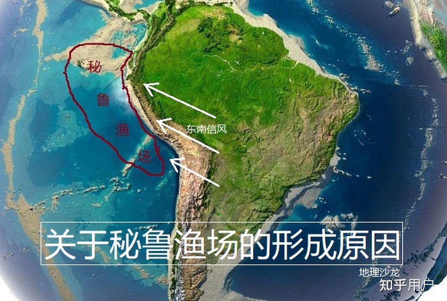 为什么秘鲁寒流的温度还能形成大渔场? - 知乎