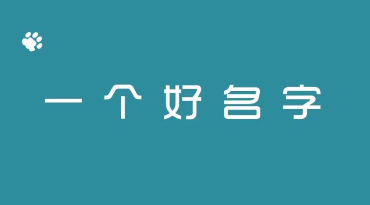 吸引人口号_幽默吸引人的招聘口号(3)