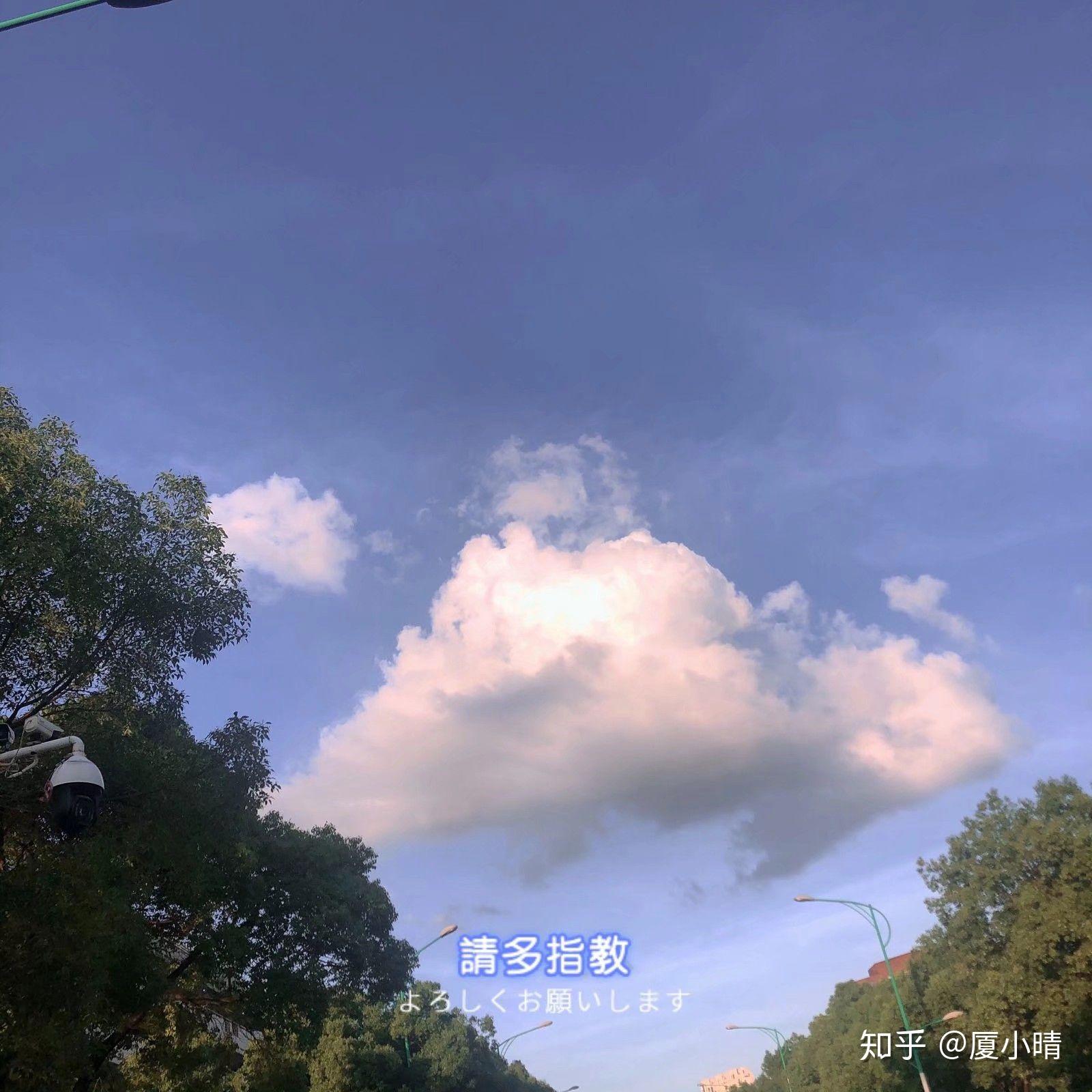 可以分享一张你手机里最好看的一张照片吗? - 知乎