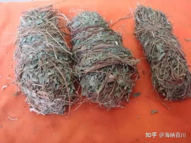 黄草是民间草药,俗称土黄连等,具有清热利湿,退黄祛湿,凉血散瘀的功效