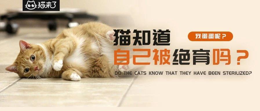 v2-30009d02cd1d79b0f1de9091e567b2e4_1440w.jpg?source=172ae18b