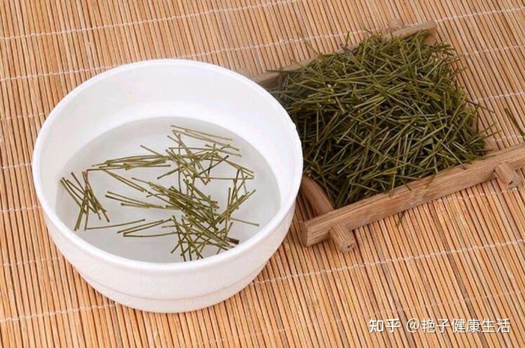 农村人当柴火烧的松针,用来煮水喝有多种功效,但有2点要注意 - 知乎