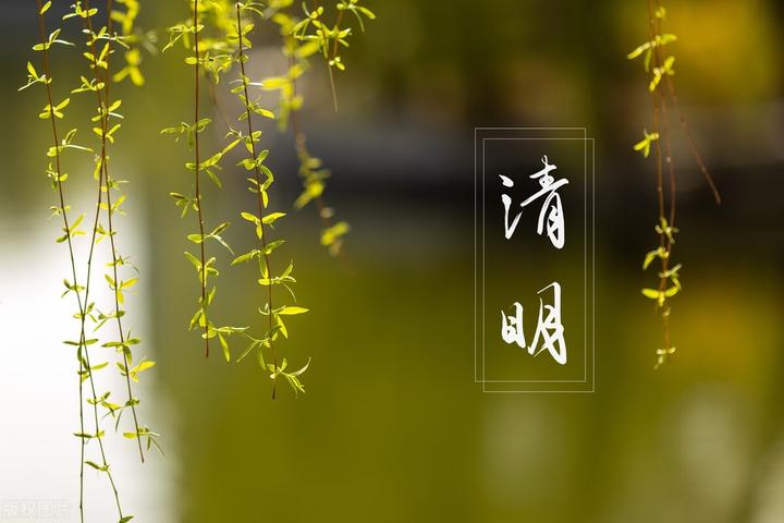 市2024年清明文明祭扫活动实施方案范文
