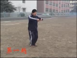 分享系列石建义先生绵张拳一路