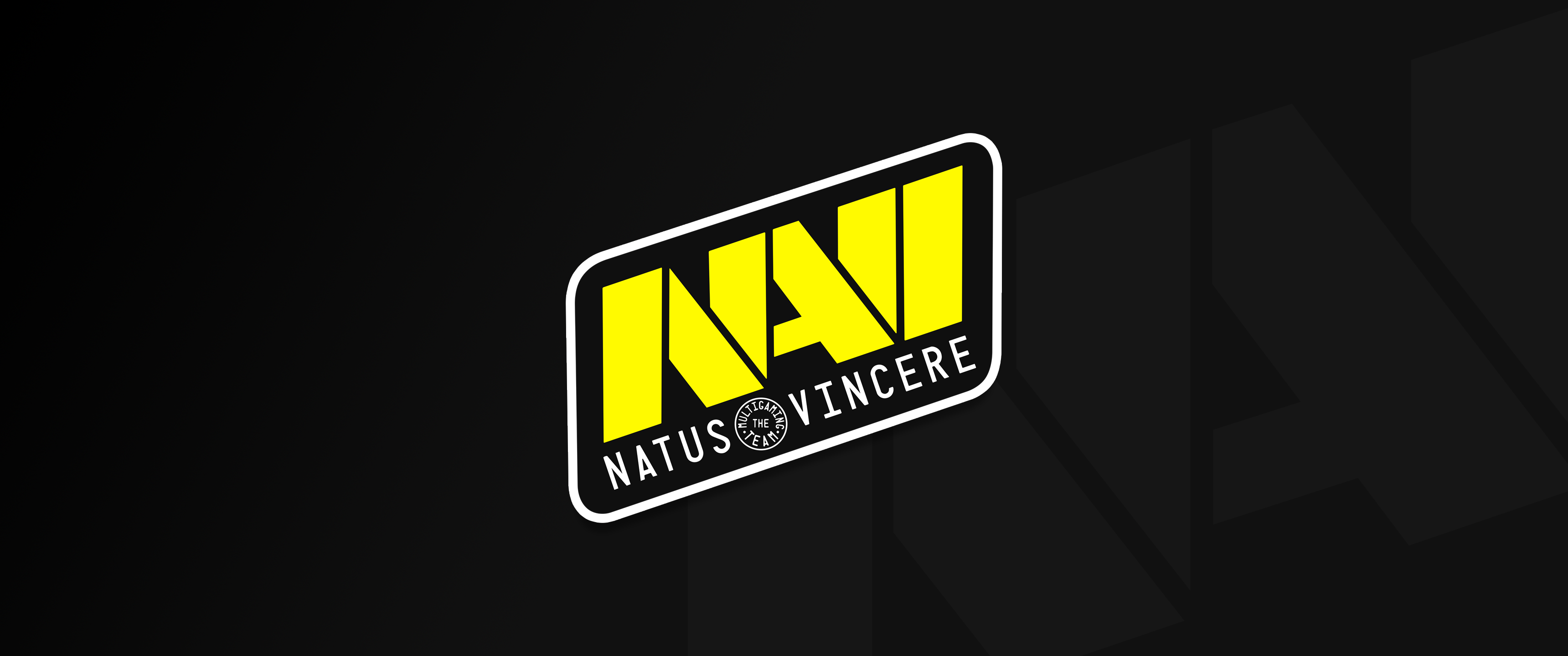NV战队logo图片