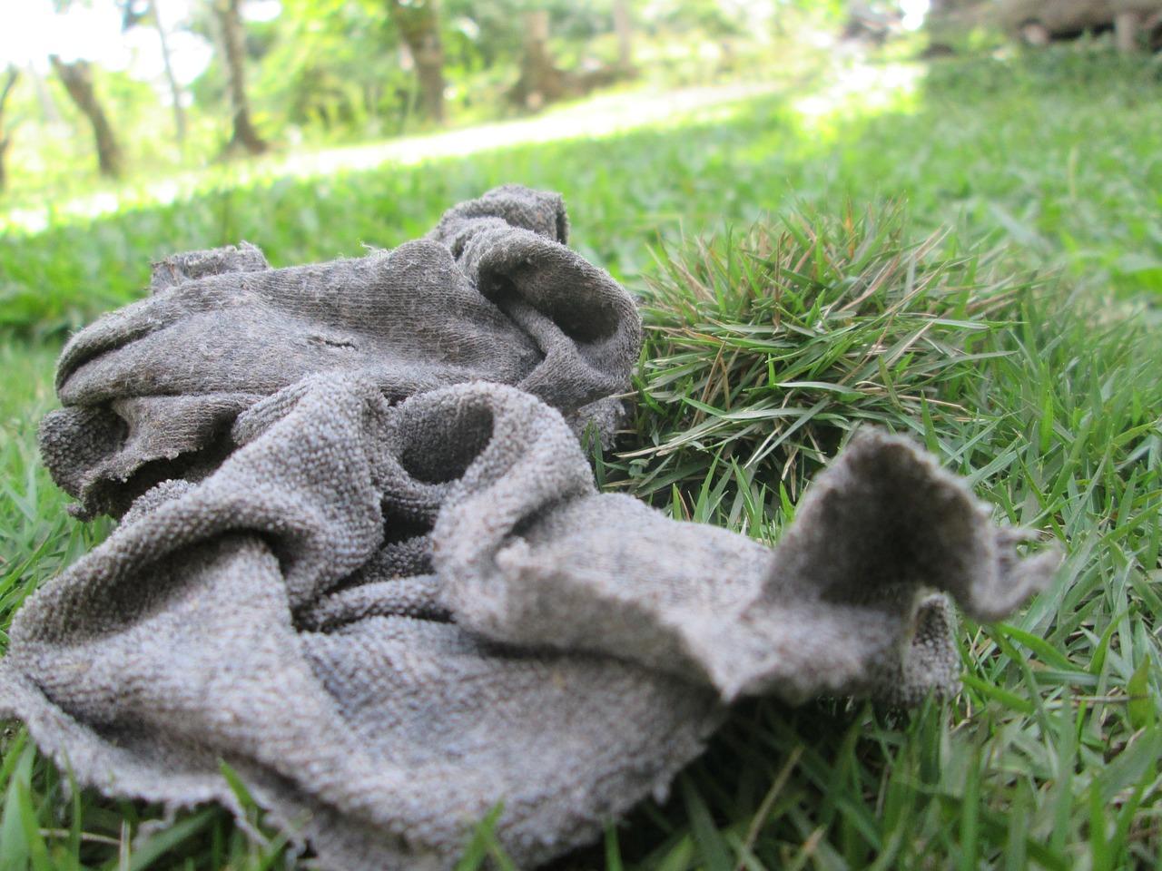 4. 食用油保养木门