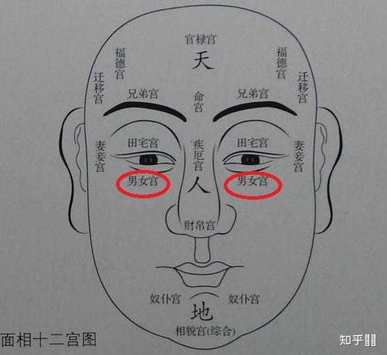 這是什麼痣算淚痣嗎