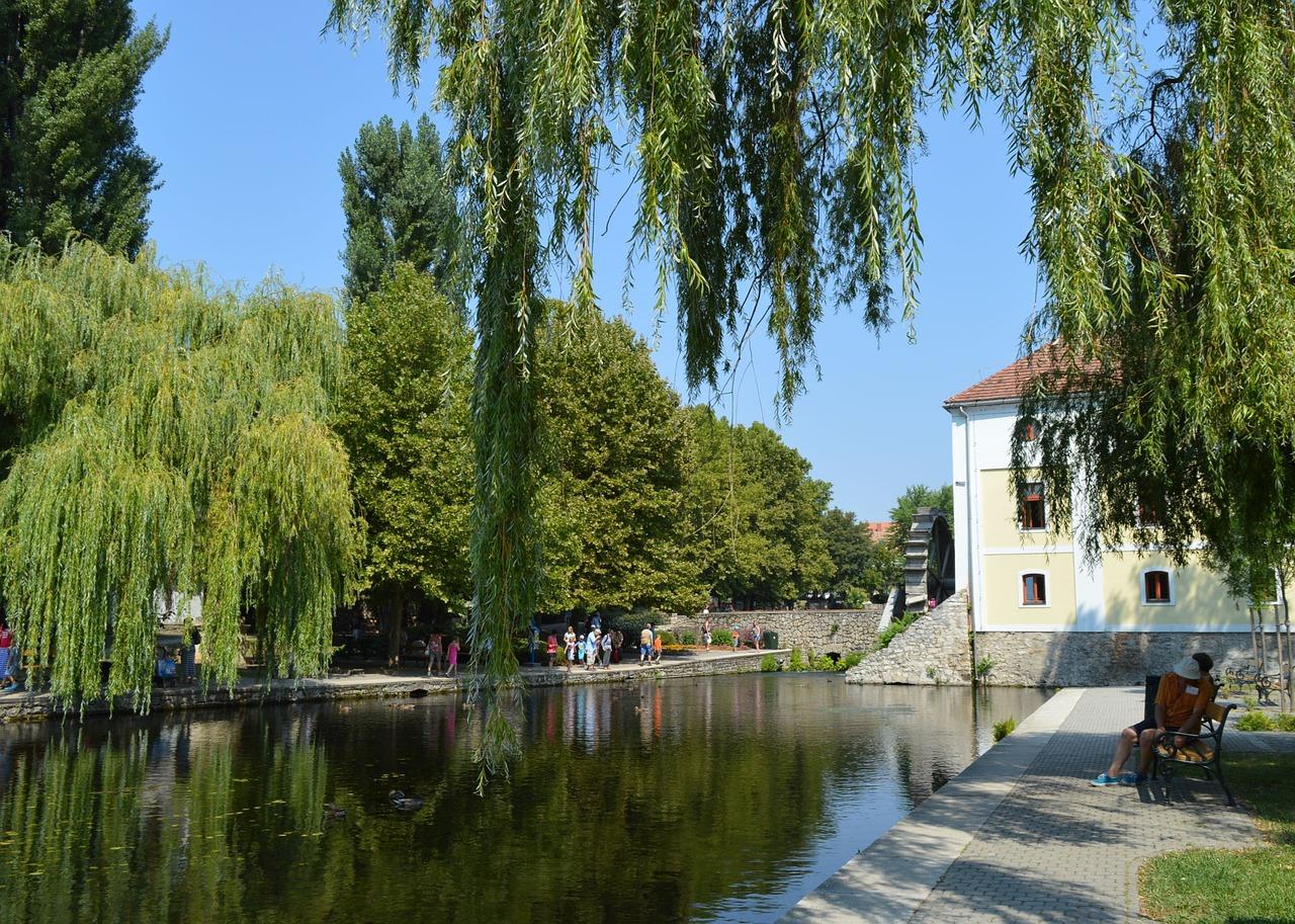 2. 凤阳生态小池塘