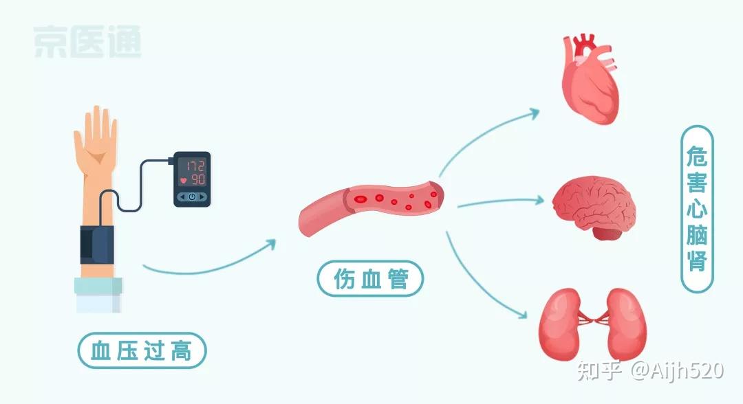 “四高” 指标老年人的“健康标准”及饮食策略 - 知乎