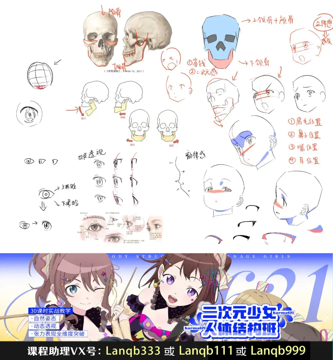 【板绘学习】二次元人体结构学习要点 - 知乎