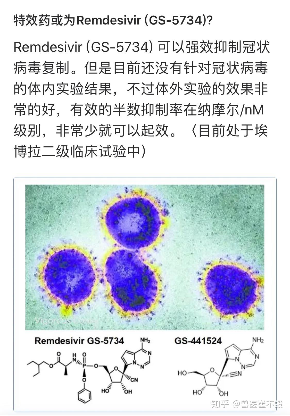 如何从医学角度解读1月24日武汉协和医院发布的新型冠状病毒肺炎最新
