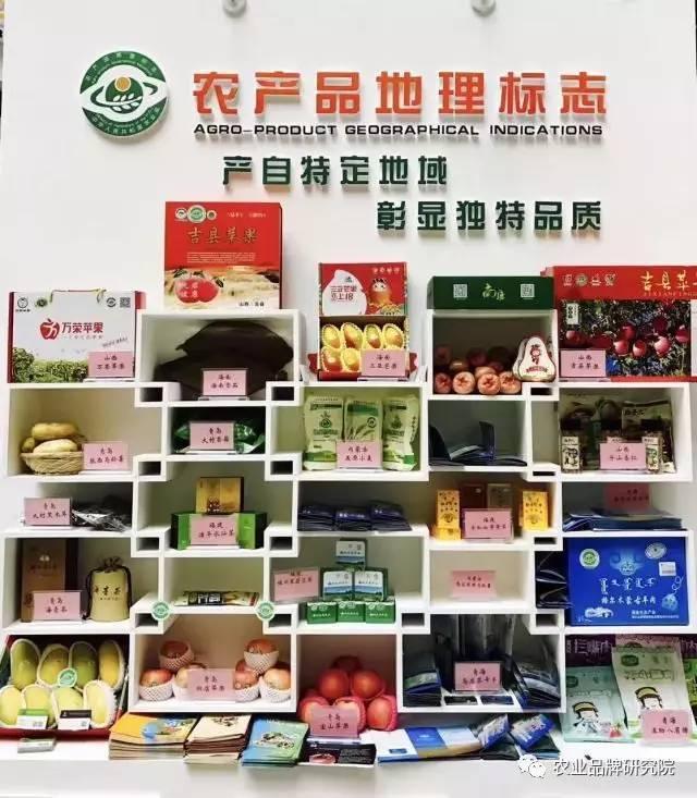乡村画卷：乡村振兴项目的美好实践