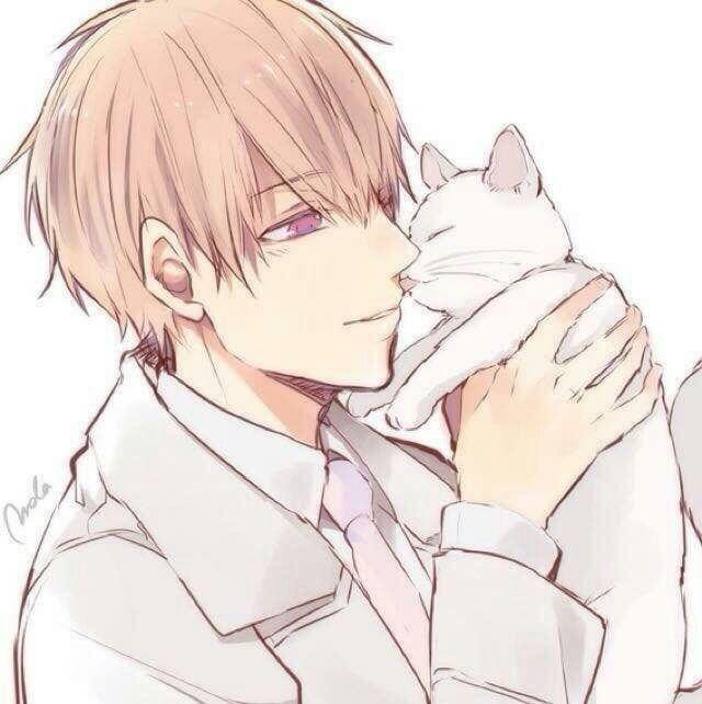 有没有男生抱着猫的头像呀?