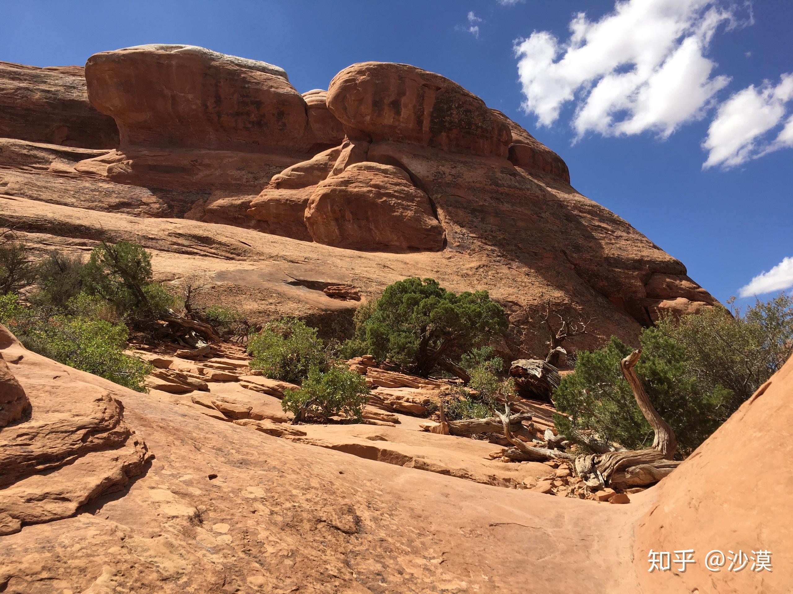 在美国自驾游是一种怎样的体验? - 知乎