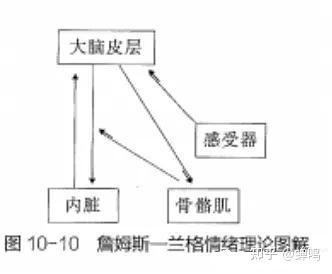 乘势手环有用吗?