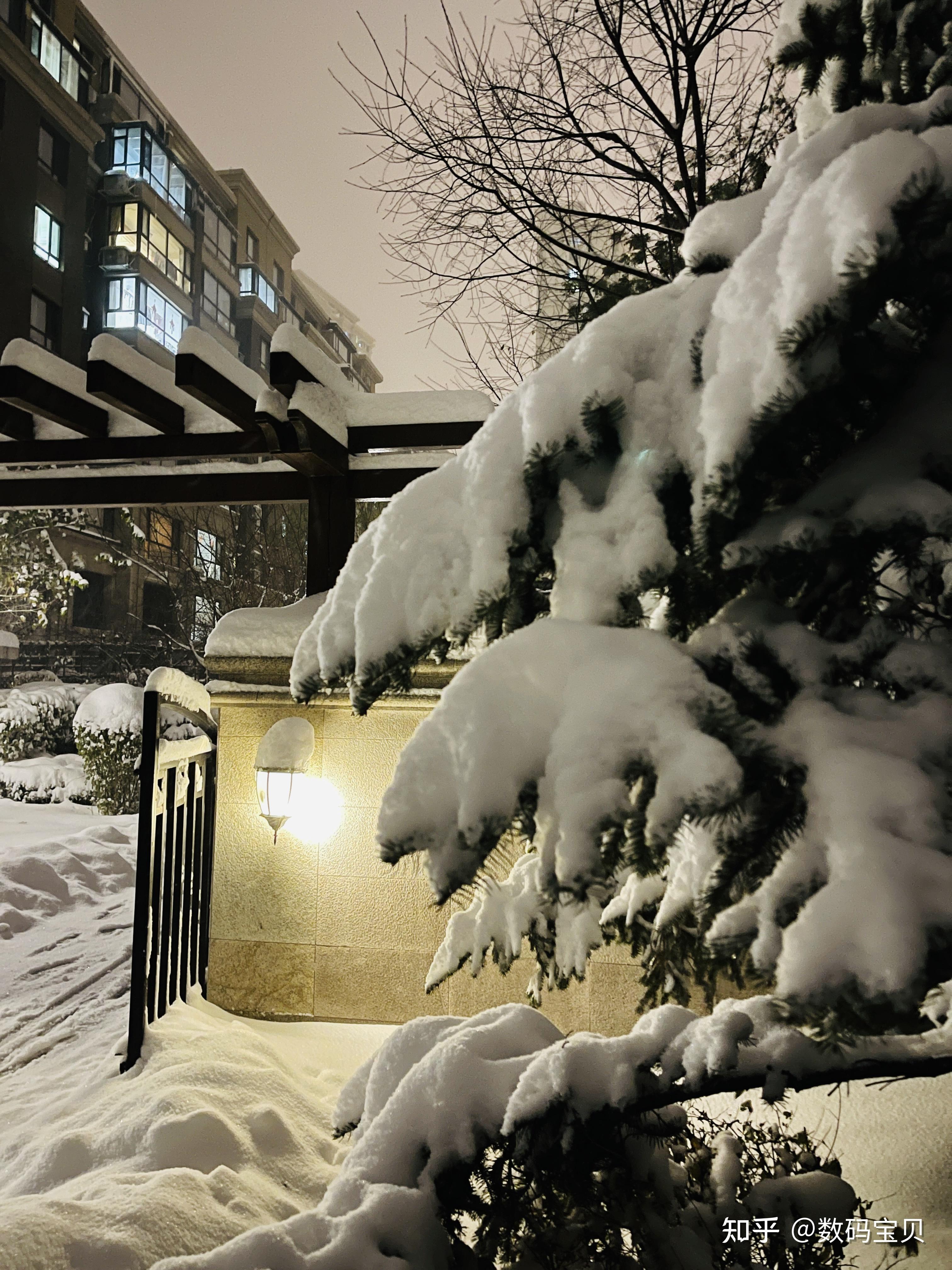 下雪天真实图片大全图片