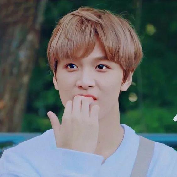 头像nct李楷灿合集