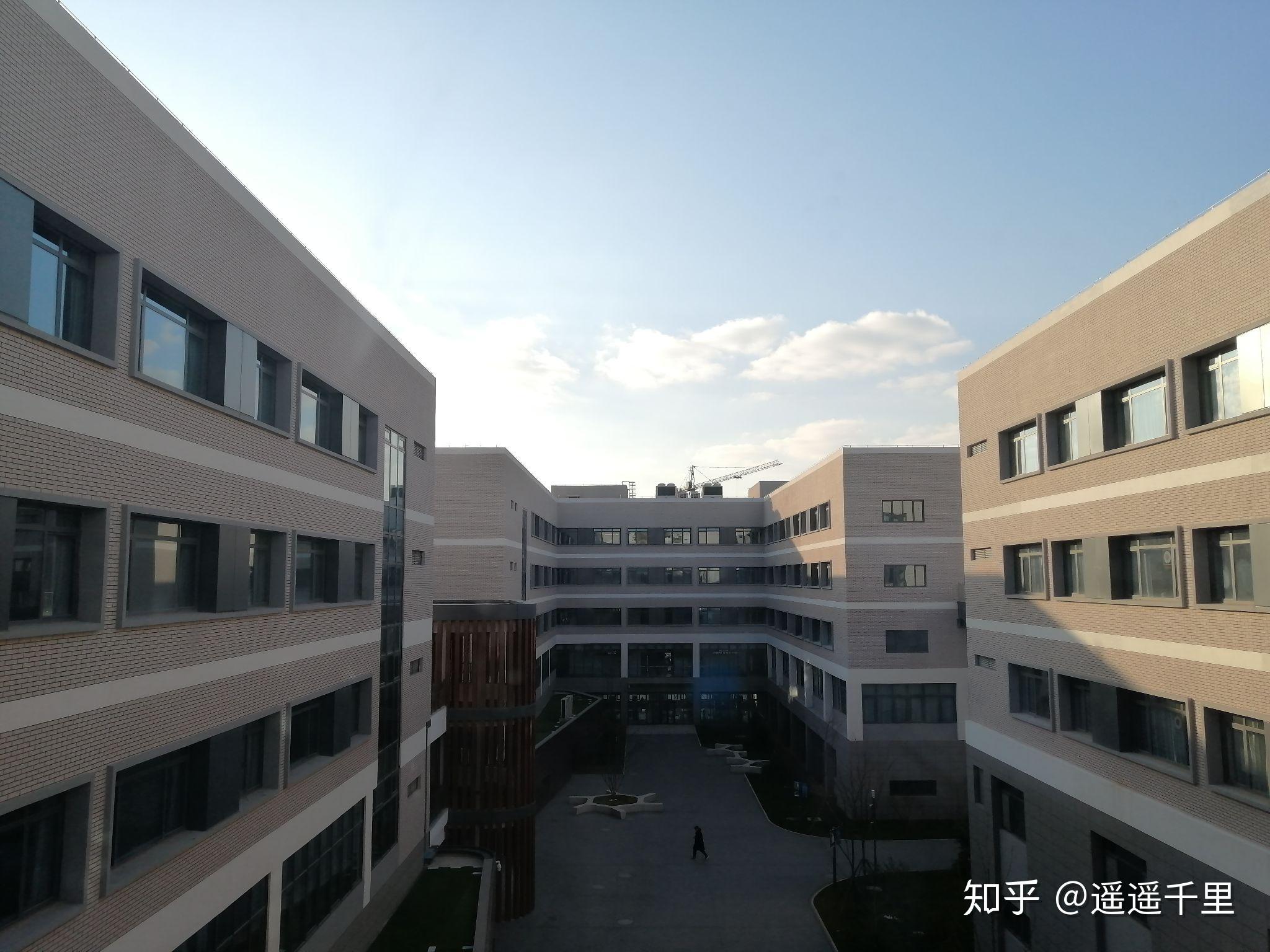 青岛科技大学中德图片