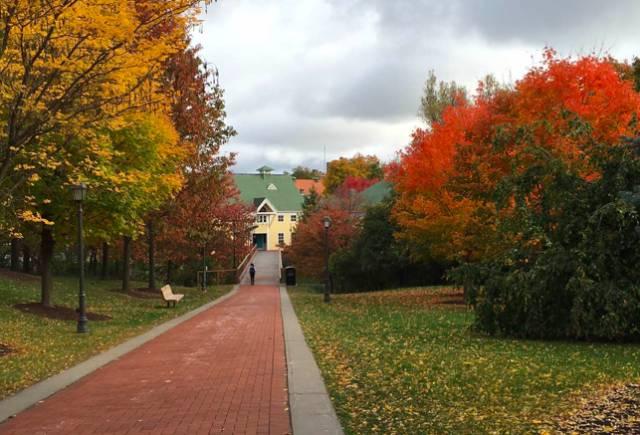 在hamiltoncollege就读是怎样的一番体验