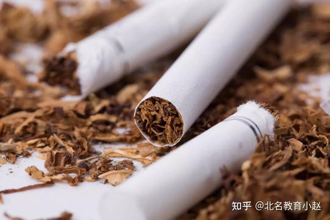 北名教育中國菸草2023持續開大年薪20萬起福利待遇佳實打實金飯碗