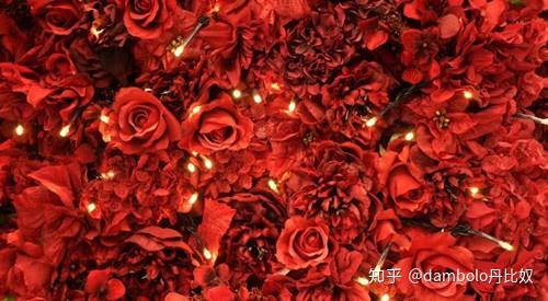 丹比奴鞋履潮流情人节约会就靠它了,据说这些是情人节爆款! 知乎