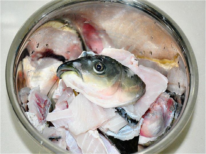 鱼多久不吃饭会饿死 v2-30c7a06fa0da13cb226390a1586f9284_1440w.jpg?source=172ae18b