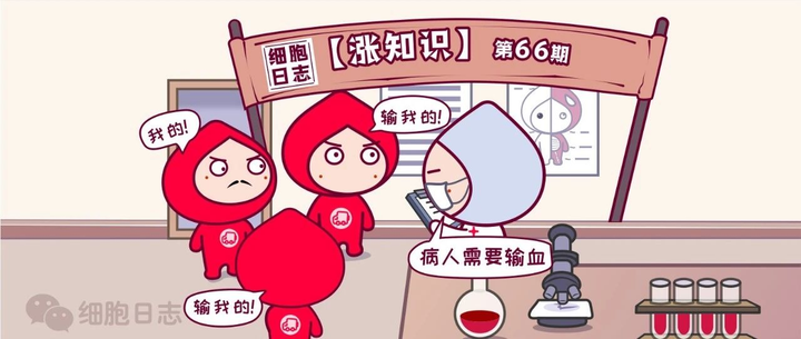 知乎专栏