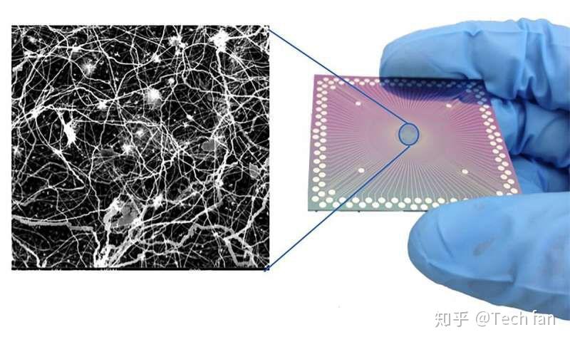 揭秘3D打印技术之飞秒投影双光子光刻技术 - 知乎